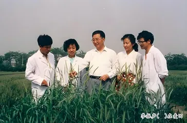 李振声:大国粮仓的“科技脊梁”1