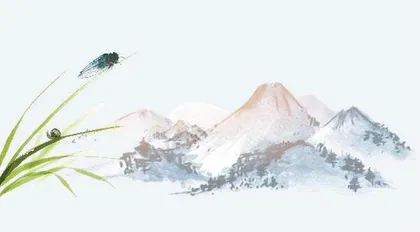 导读