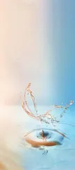 屈原写诗，一定知道他已永垂不朽