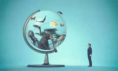 如何假装你是一个博物学家