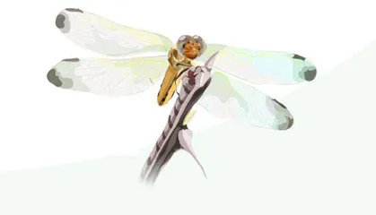 我幽幽地滋生出一种感动