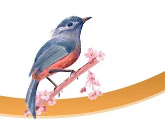 众鸟归来
