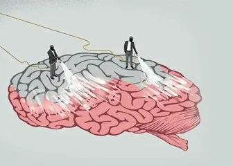 大脑不是用来思考的