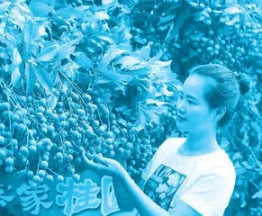 最美退役军人李春燕:在乡村振兴中闪闪发光1