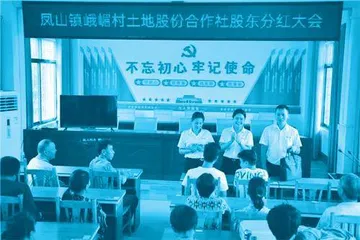最美退役军人李春燕:在乡村振兴中闪闪发光4