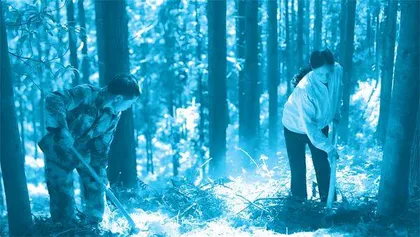 坚守“无人区”42年：“树痴夫妻”创造绿色奇迹