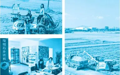白领变身“新农人”,家乡也有“诗和远方”2