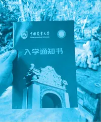 都市女白领寻梦天涯,打造出梦幻童话般的家园2