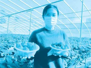 农学博士王颖追光逐梦:“甜蜜事业”种出甜蜜生活2