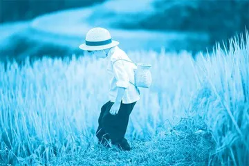 如何才能防止亲子关系“崩塌”