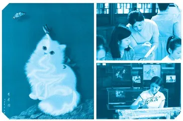 “锡绣”非遗传承人鲍文姬:“寸人豆马”绽芳华2