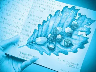 博物插画师李聪颖:用画笔揭示自然奥秘,传播博物之美1