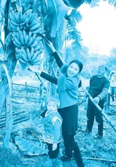 张书彦:以奋斗之姿书写科技报国华章3