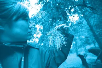 博士王爽:守护北京颐和园的“捉虫人”1