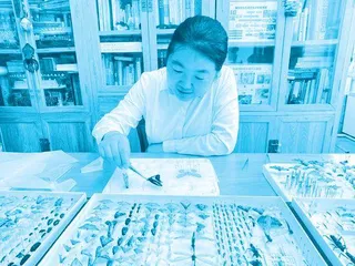 博士王爽:守护北京颐和园的“捉虫人”3