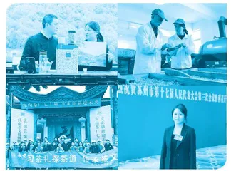 柳倩楠:新时代“碧螺姑娘”,续写千年茶香传奇2