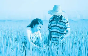 “行走在田埂上的女博士”刘凤沂:以一腔赤诚坚守“三农”服务第一线2