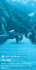 “泰山娟姐”张娟, 中国“金牌导游”登上APEC讲坛第一人3
