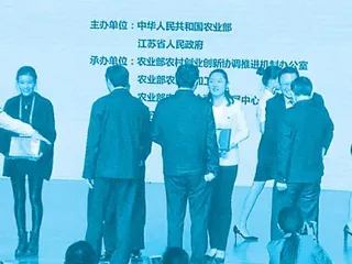 “全国三八红旗手”杨蕾雅:担当奉献有爱心,一路艰辛谱芳华3