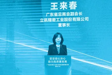 励志王来春:从打工妹到千亿富豪1