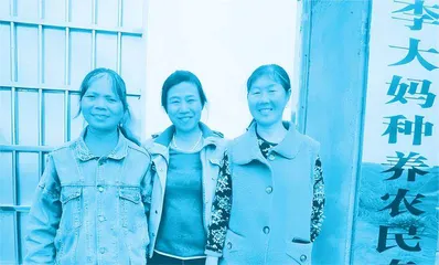 三闺密创业：有一种友谊叫在枣树下慢慢变老