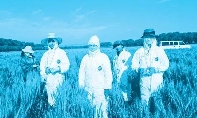 “国家农业生物安全守护者”高利:脚踩泥土的麦田防疫科学家1