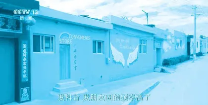 张桂芳:央视点赞的90后村支书1