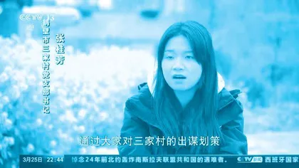 张桂芳:央视点赞的90后村支书2