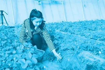 全国巾帼新农人创业典型周小玲:逐梦田园绽芳华1