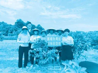 陈晓冬:把家乡芭乐种出哈根达斯味儿1