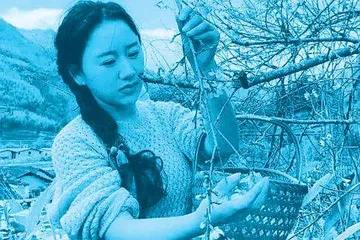 “乡愁”沈丹:从负债累累到乡村振兴带头人1