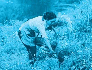 “乡愁”沈丹:从负债累累到乡村振兴带头人2