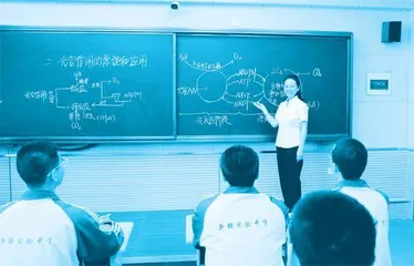 全国“五一劳动奖章”获得者王红芳:用挚爱教育之心,担当育人使命2