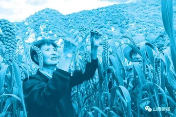  党的二十大代表刘桂珍：多副担子一肩挑，撑起山村一片天