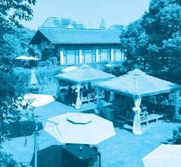 “苏小花”创始人谭桂芳:在田野践行梦想,振兴乡村经济3