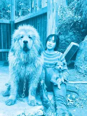 林果儿:变废为宝,大山深处的“机修西施”5