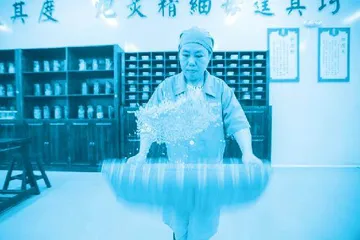 从农民工到“金蓝领”,追梦人陈小兰de“蝶变”人生2