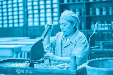 从农民工到“金蓝领”,追梦人陈小兰de“蝶变”人生3