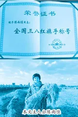 “种米姑娘”陈雨佳:把梦想播在稻田里1