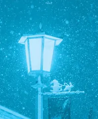 捱过长夜的疼痛终会得到时光的馈赠