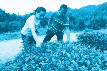 “英雄妹妹”杜富佳:在平凡岗位上,做自己的英雄2