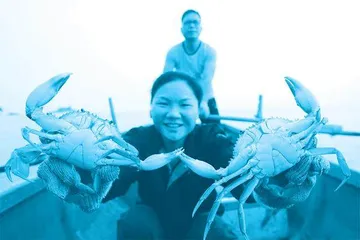 “赶海主播”雷芳:利用短视频“新农具”助力乡村振兴3