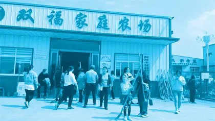 “小农女”戴双杰:爱折腾的青春最美丽1