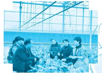 党的二十大代表张凌云：把“报告”倾情写在黄土地上