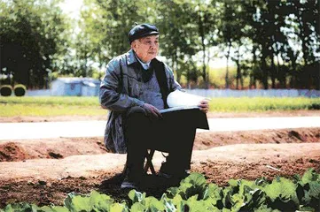 方智远的甘蓝人生