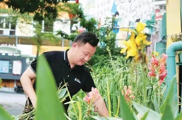 社区营造师，让这些花园出圈了