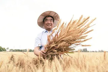 徐淙祥，心怀天下仓廪