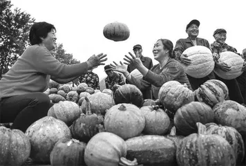 个性化振兴:乡村告别“千村一面”2