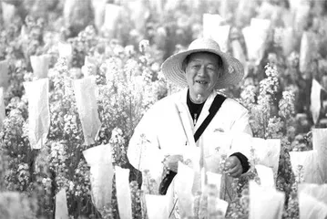 十字花科“傅科长”的花田故事