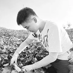 我们的青春,绽放在田野乡间3